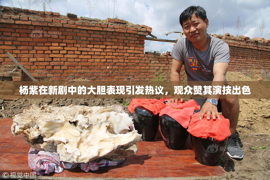 杨紫在新剧中的大胆表现引发热议，观众赞其演技出色
