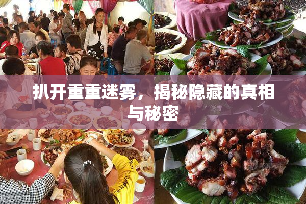 扒开重重迷雾，揭秘隐藏的真相与秘密