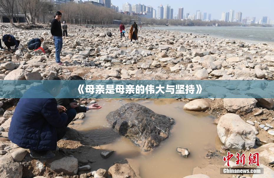 《母亲是母亲的伟大与坚持》
