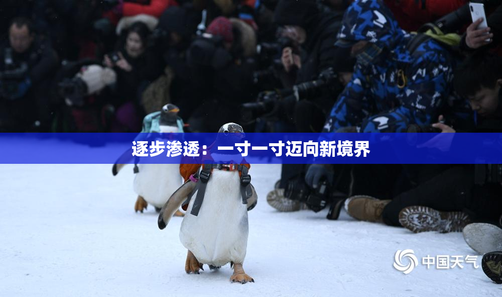 逐步渗透：一寸一寸迈向新境界