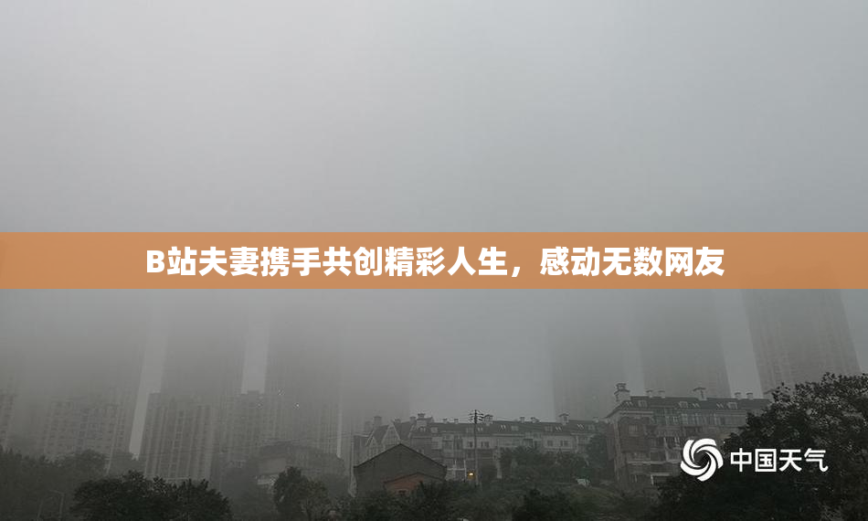 B站夫妻携手共创精彩人生，感动无数网友