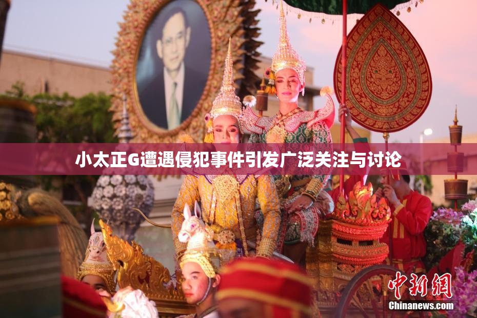 小太正G遭遇侵犯事件引发广泛关注与讨论