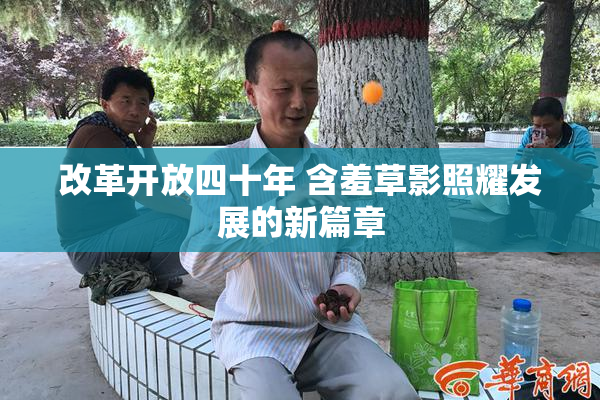 改革开放四十年 含羞草影照耀发展的新篇章