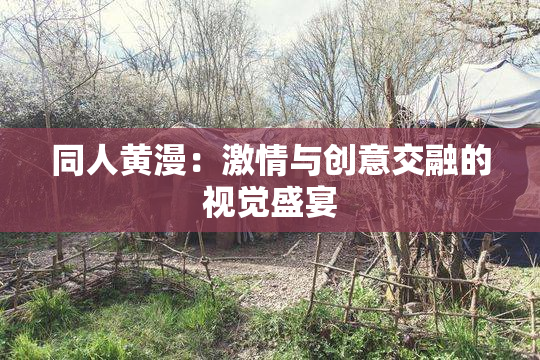 同人黄漫：激情与创意交融的视觉盛宴