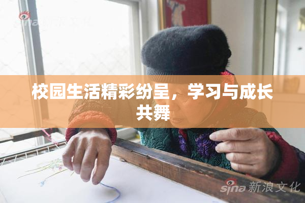 校园生活精彩纷呈，学习与成长共舞