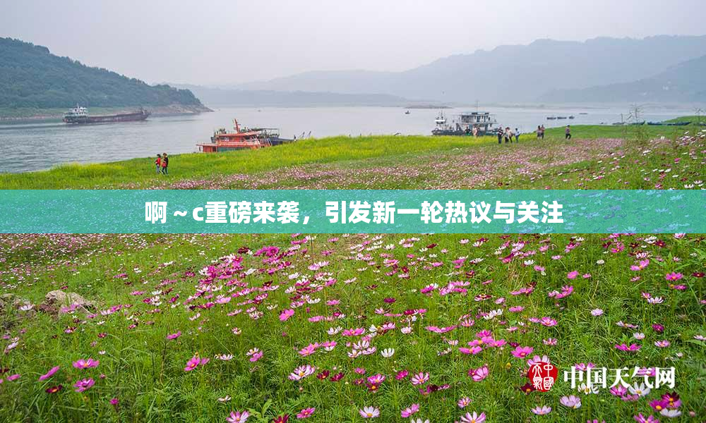 啊～c重磅来袭，引发新一轮热议与关注