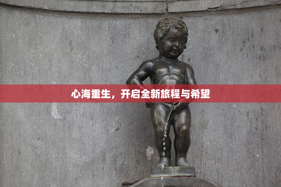 心海重生，开启全新旅程与希望