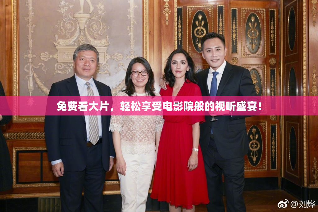 免费看大片，轻松享受电影院般的视听盛宴！