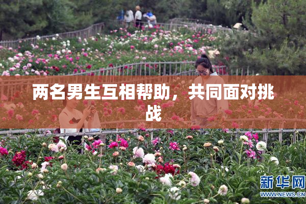 两名男生互相帮助，共同面对挑战