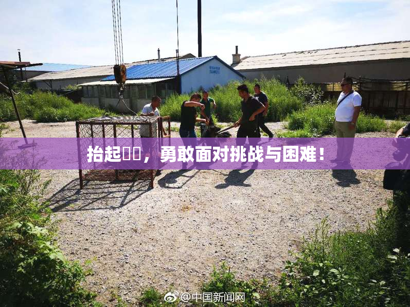 抬起妺妺，勇敢面对挑战与困难！