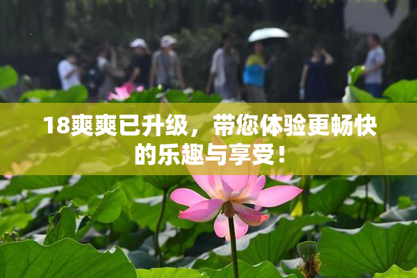 18爽爽已升级，带您体验更畅快的乐趣与享受！