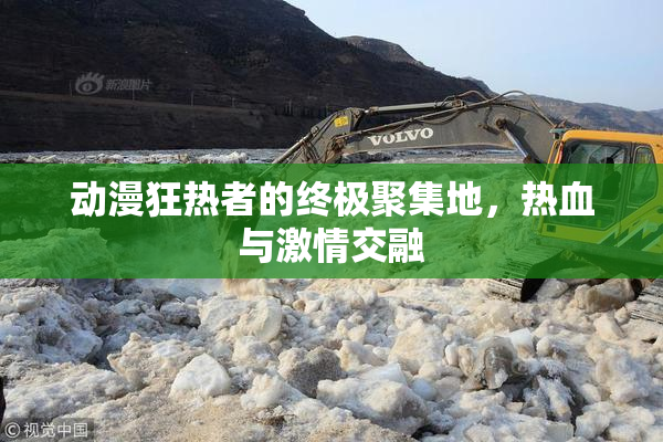 动漫狂热者的终极聚集地，热血与激情交融