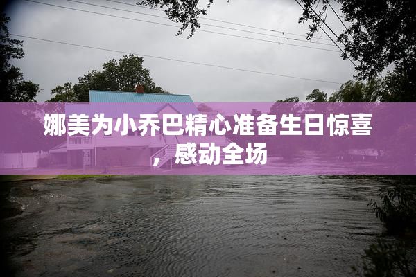 娜美为小乔巴精心准备生日惊喜，感动全场