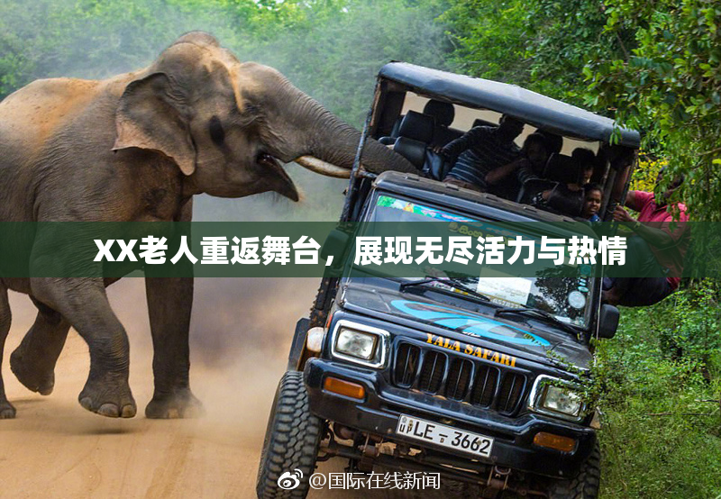 XX老人重返舞台，展现无尽活力与热情
