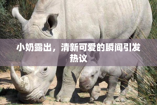 小奶露出，清新可爱的瞬间引发热议