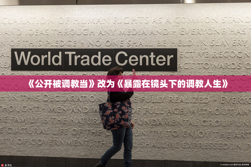 《公开被调教当》改为《暴露在镜头下的调教人生》