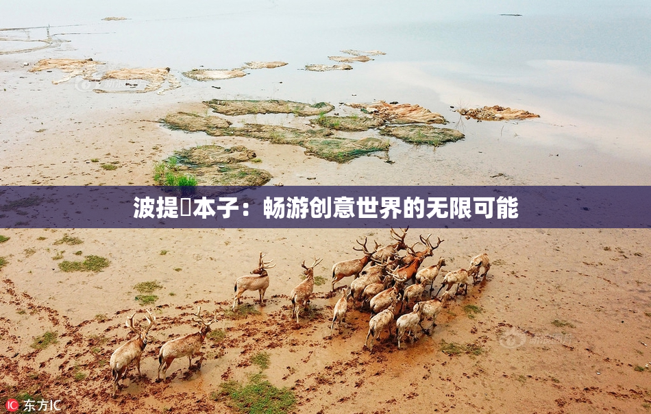 波提歐本子：畅游创意世界的无限可能