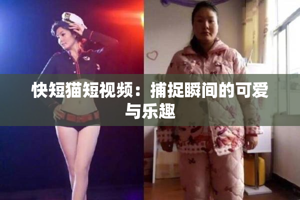 快短猫短视频：捕捉瞬间的可爱与乐趣