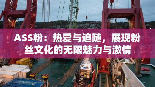ASS粉：热爱与追随，展现粉丝文化的无限魅力与激情