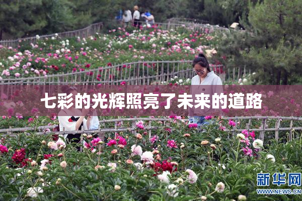 七彩的光辉照亮了未来的道路