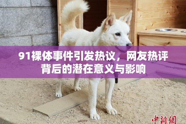 91裸体事件引发热议，网友热评背后的潜在意义与影响