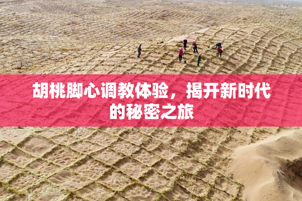 胡桃脚心调教体验，揭开新时代的秘密之旅