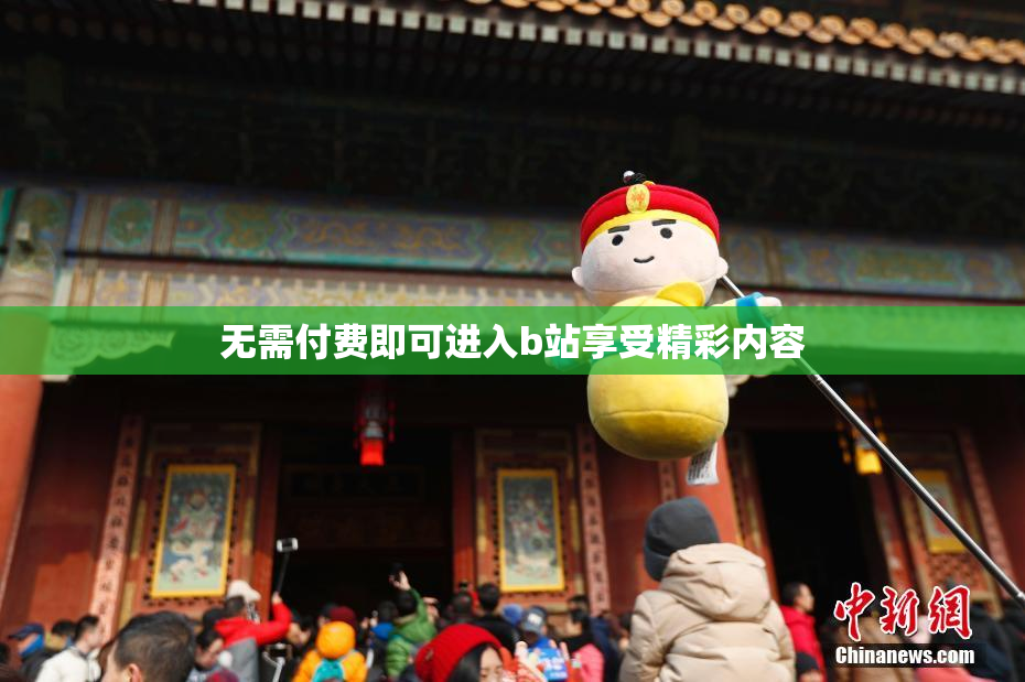 无需付费即可进入b站享受精彩内容