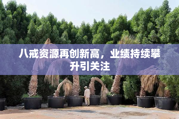八戒资源再创新高，业绩持续攀升引关注