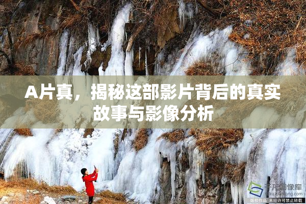 A片真，揭秘这部影片背后的真实故事与影像分析