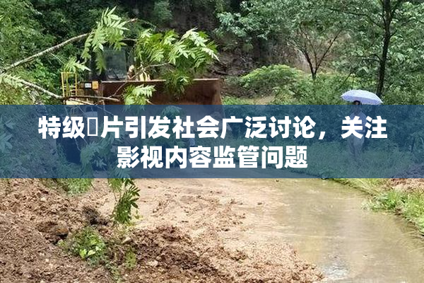 特级婬片引发社会广泛讨论，关注影视内容监管问题
