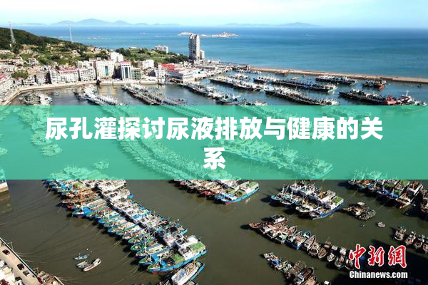 尿孔灌探讨尿液排放与健康的关系