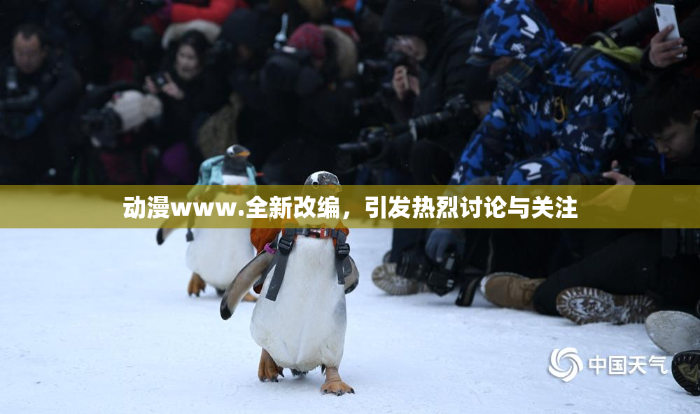 动漫www.全新改编，引发热烈讨论与关注