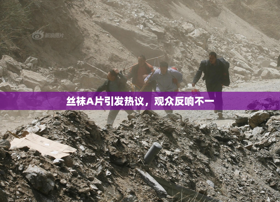 丝袜A片引发热议，观众反响不一