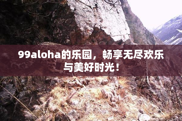99aloha的乐园，畅享无尽欢乐与美好时光！