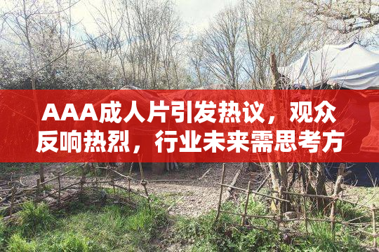 AAA成人片引发热议，观众反响热烈，行业未来需思考方向