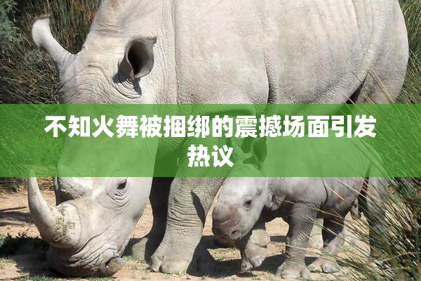 不知火舞被捆绑的震撼场面引发热议