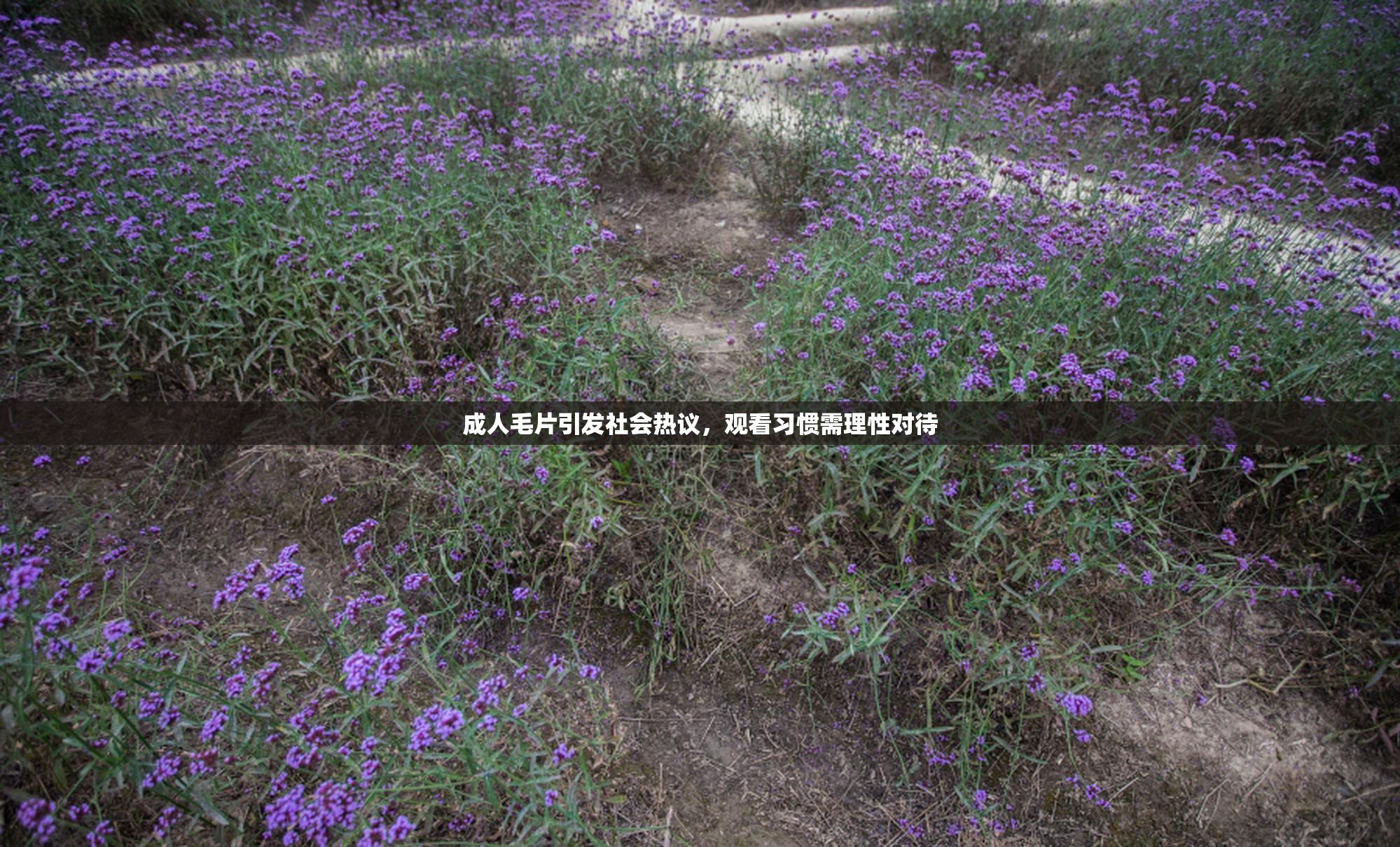 成人毛片引发社会热议，观看习惯需理性对待