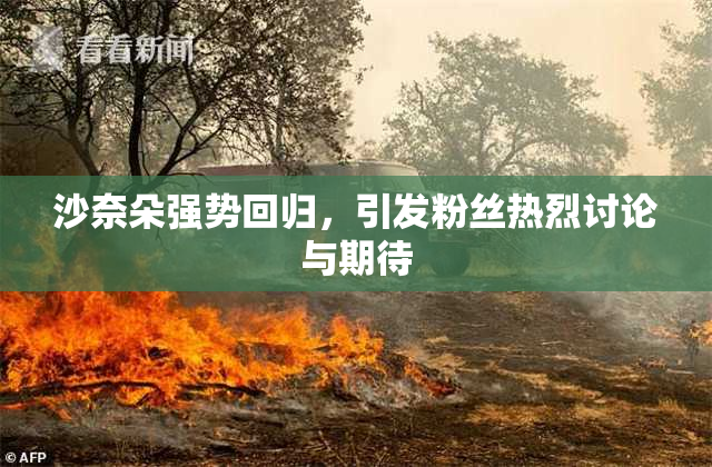 沙奈朵强势回归，引发粉丝热烈讨论与期待
