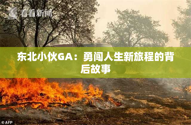 东北小伙GA：勇闯人生新旅程的背后故事
