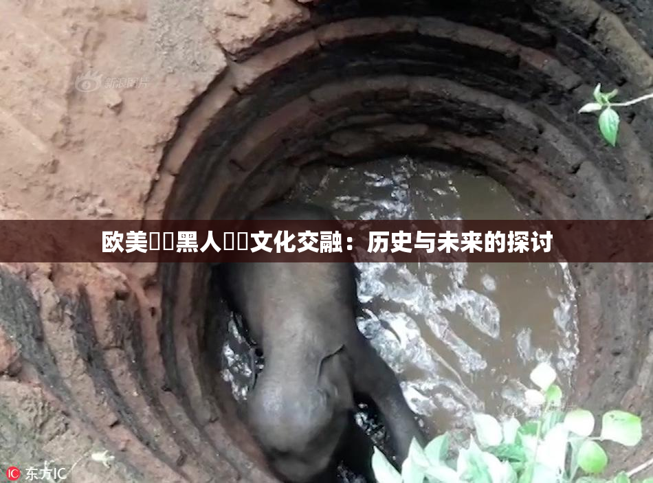欧美❌‌黑人❌‌文化交融：历史与未来的探讨