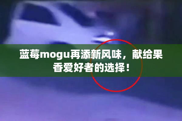 蓝莓mogu再添新风味，献给果香爱好者的选择！