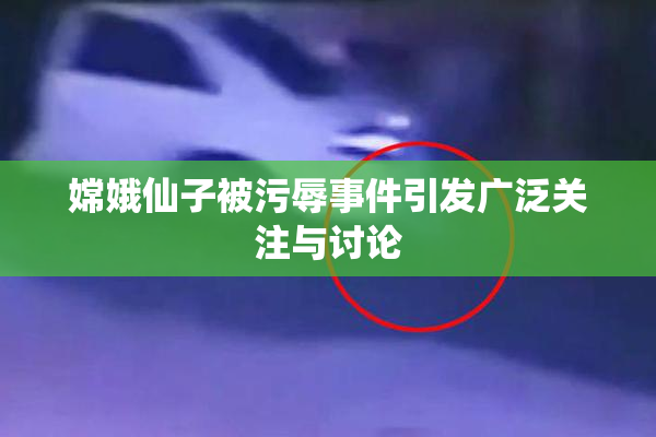 嫦娥仙子被污辱事件引发广泛关注与讨论