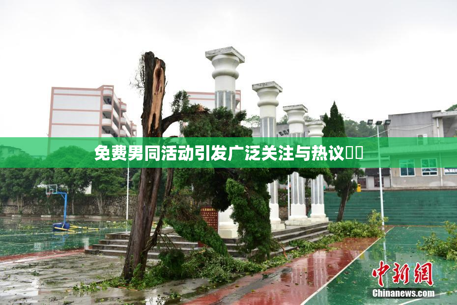 免费男同活动引发广泛关注与热议❌‌
