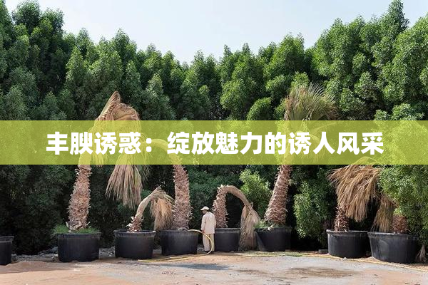 丰腴诱惑：绽放魅力的诱人风采