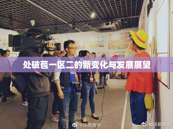 处破苞一区二的新变化与发展展望