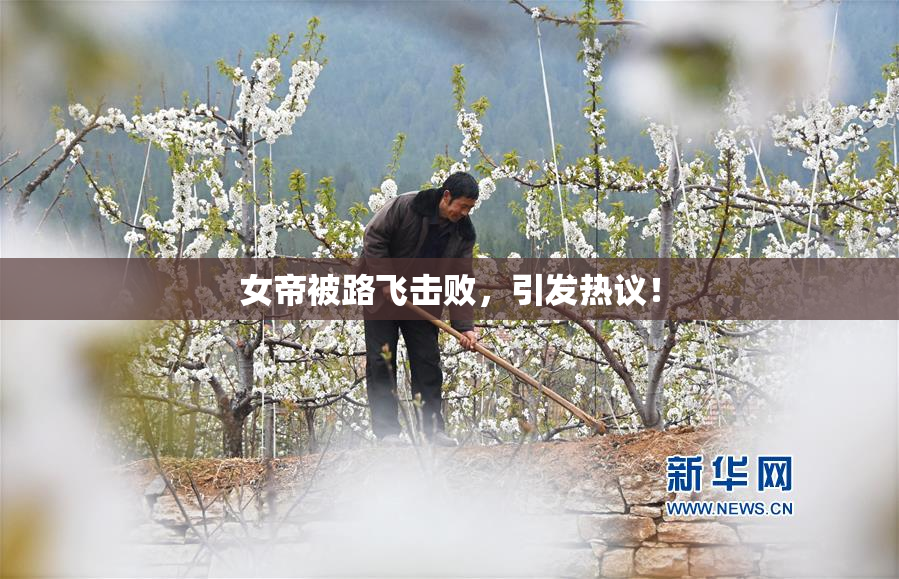 女帝被路飞击败，引发热议！