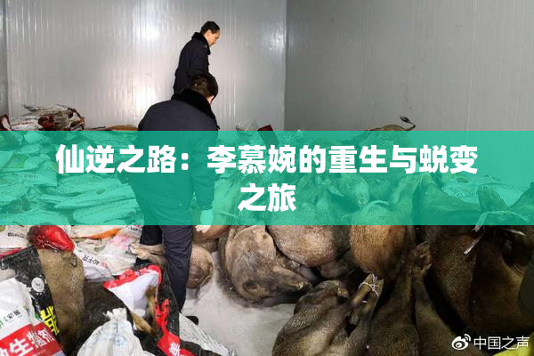 仙逆之路：李慕婉的重生与蜕变之旅