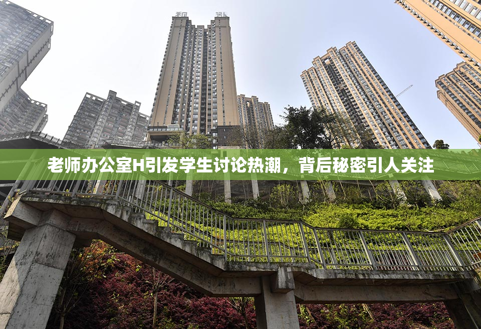 老师办公室H引发学生讨论热潮，背后秘密引人关注