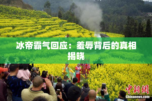 冰帝霸气回应：羞辱背后的真相揭晓