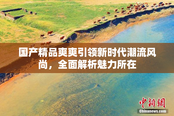 国产精品爽爽引领新时代潮流风尚，全面解析魅力所在